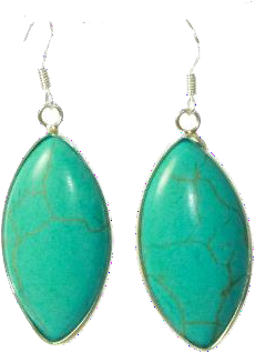 Thanda Turquoise Teardrop Pendant Earrings